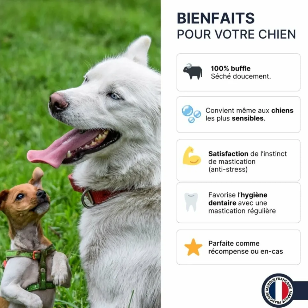 France Croquettes - Bâtonnets de buffle (chiot et senior) - 300gr - Clearance