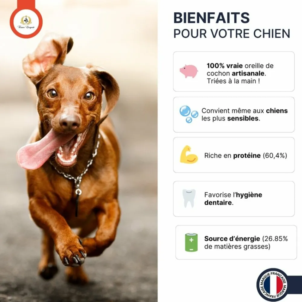 France Croquettes Alimentation Et Friandises | - Oreille de porc 3x500g -