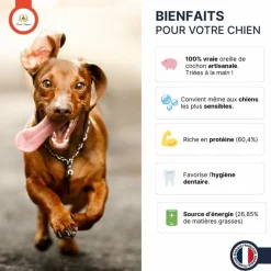 France Croquettes Alimentation Et Friandises | - Oreille de porc 500g -