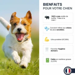 France Croquettes Alimentation Et Friandises | - Oreille de buffle 400g -