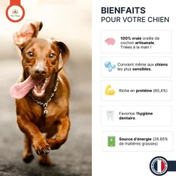 France Croquettes Alimentation Et Friandises | - Oreille de porc 5kg -