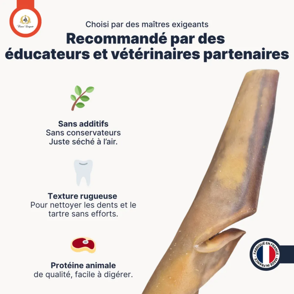 France Croquettes - Peau de chameau 400gr (mastication longue/hypoallergenique) friandise pour chien - Outlet