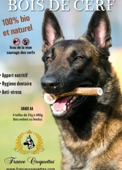 France Croquettes Alimentation Et Friandises | - 1x bois de cerf xxl entier (200/300gr) - chien <50kg -