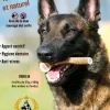 France Croquettes Alimentation Et Friandises | - 2x bois de cerf xxl entier (200/300gr) - chien <50kg -