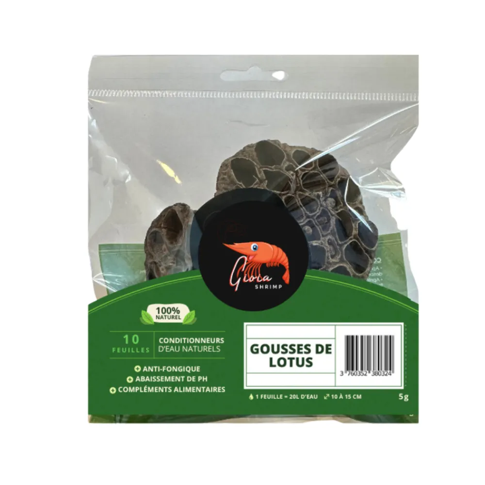 Gioiashrimp Plantes Et Décoration | - 2 gousses de lotus pour crevettes