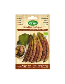 Générique Graines De Légumes Et Aromatiques | GÉNÉRIQUE - Sachet de graines eco haricots buenos aires red agreen