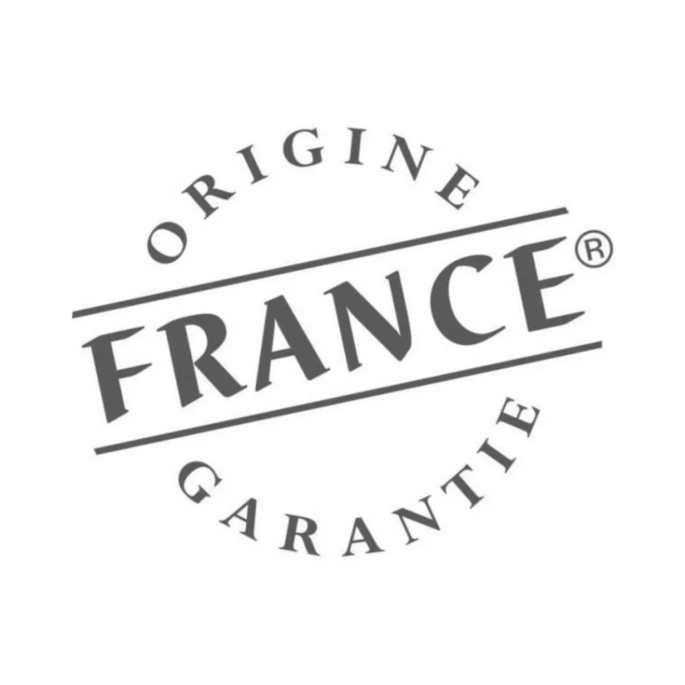 Godin Bois Et Accessoires De Cheminées | - Poêle à bois fonte-eclipse-8 kw-peint anthracite - 388118