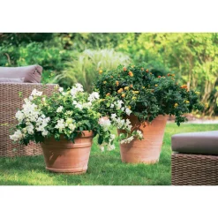 Goicoechea - Cuvier Contemporain en terre cuite Ø 47 x H. 48cm