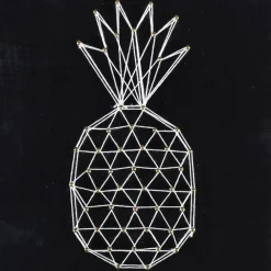 Graine Créative GRAINE CRÉATIVE - Coffret string art - tableau noir ananas art filaire 22 x 22 cm Best