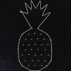 Graine Créative GRAINE CRÉATIVE - Coffret string art - tableau noir ananas art filaire 22 x 22 cm Best