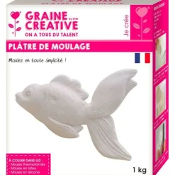 Graine Créative GRAINE CRÉATIVE - Plâtre de moulage 1 kg