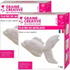 Graine Créative Modelage Et Mosaique | GRAINE CRÉATIVE - Plâtre de moulage 2 kg