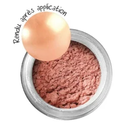 Graine Créative GRAINE CRÉATIVE - Poudre effet métallique pour pâte polymère - saumon