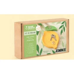 Graine Creative Modelage Et Mosaique | - Kit jesmonite vide poches citron