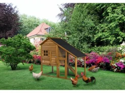 Habitat Et Jardin - Poulailler "lily" avec pondoir en bois - marron Clearance