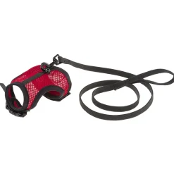 NA Haris pour cochons d'inde jogging m, en filet perforé, equipé de laisse Online