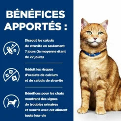 Hill's - Croquettes chat adult prescription diets c/d multicare urinary care poulet - 1,5 kg Best