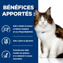 Hill's Alimentation Et Friandises | - Croquettes chat adult prescription diets w/d multi benefit - 3 kg
