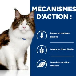 Hill's Alimentation Et Friandises | - Croquettes chat adult prescription diets w/d multi benefit - 3 kg
