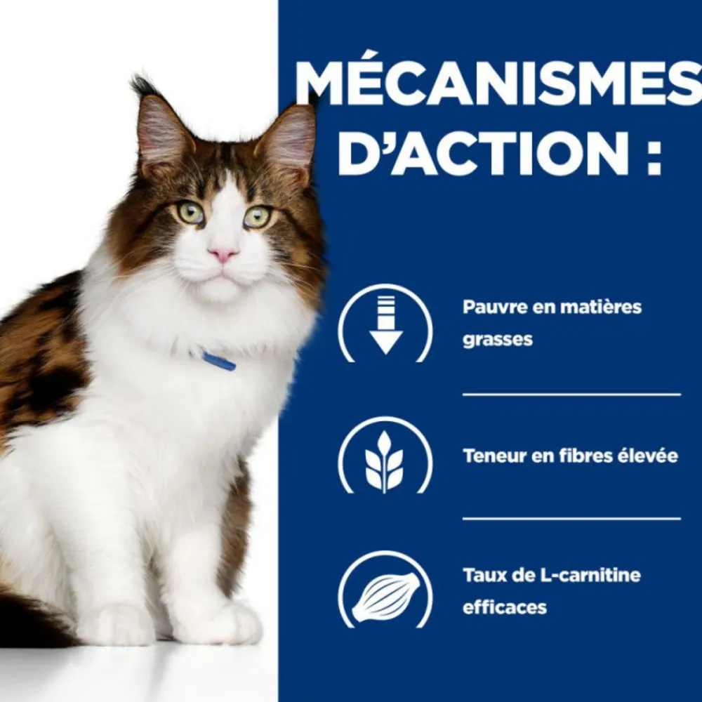Hill's Alimentation Et Friandises | - Croquettes chat adult prescription diets w/d multi benefit - 3 kg