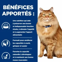 Hill's Alimentation Et Friandises | - Croquettes chat adult prescription diets k/d j/d kidney care + mobility - 3 kg