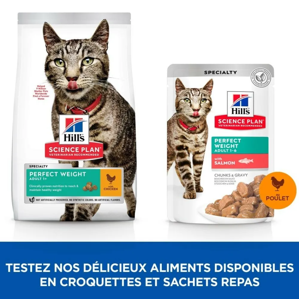 Hill's - Croquettes chat science plan adult perfect weigh - 7 kg Hot