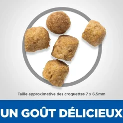 Hill's Alimentation Et Friandises | - Croquettes chat science plan sterilised young adult poulet - 10 kg