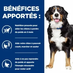 Hill's Alimentation Et Friandises | - Croquettes chien adult prescription diets j/d metabolic + mobility - 4 kg