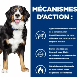 Hill's Alimentation Et Friandises | - Croquettes chien adult prescription diets j/d metabolic + mobility - 4 kg