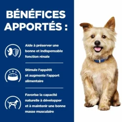 Hill's Alimentation Et Friandises | - Croquettes chien adult prescription diets k/d kidney - 12 kg