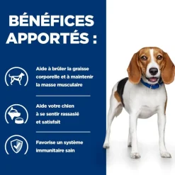 Hill's Alimentation Et Friandises | - Croquettes chien adult prescription diets r/d weight loss - 10 kg