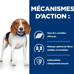 Hill's Alimentation Et Friandises | - Croquettes chien adult prescription diets r/d weight loss - 10 kg