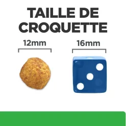 Hill's Alimentation Et Friandises | - Croquettes chien adult prescription diets r/d weight loss - 10 kg