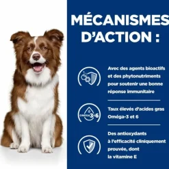 Hill's Alimentation Et Friandises | - Croquettes chien adult prescription diets derm defense - 12 kg