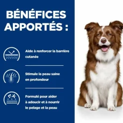 Hill's Alimentation Et Friandises | - Croquettes chien adult prescription diets derm defense - 4 kg