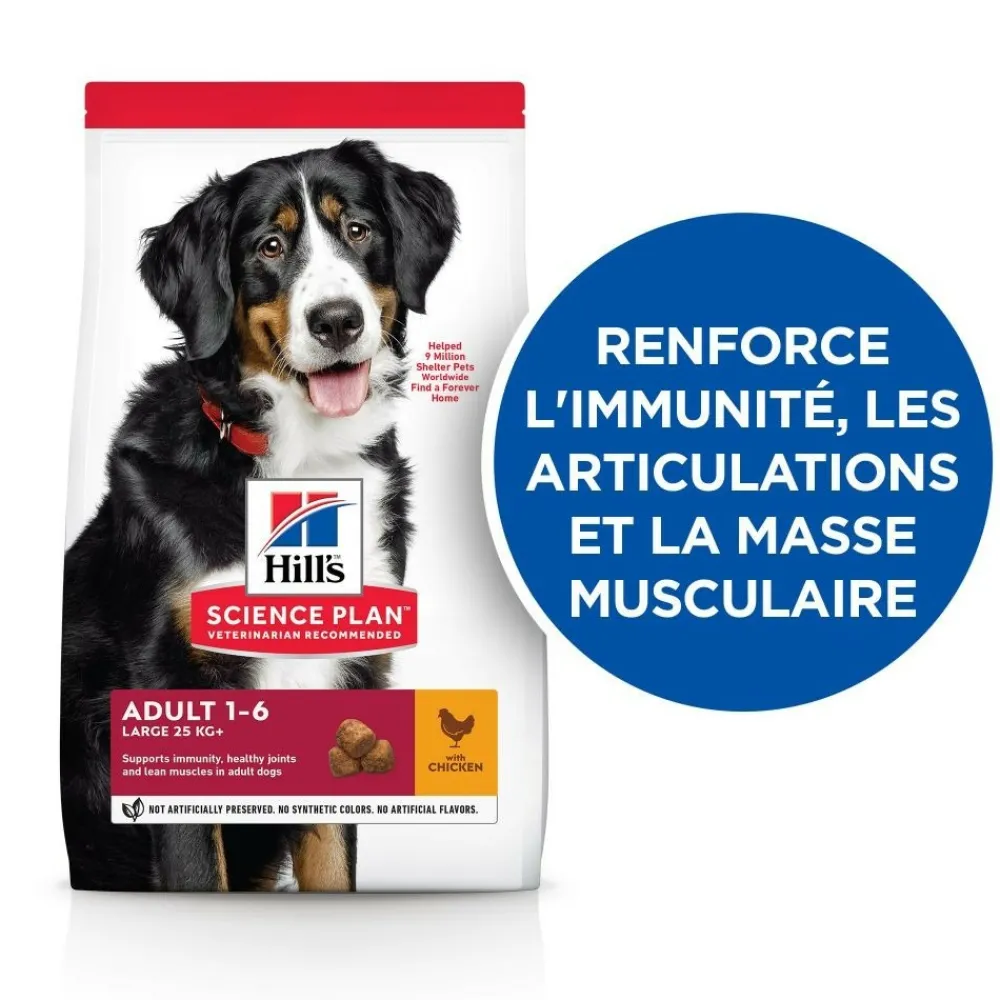 Hill's Alimentation Et Friandises | - Croquettes chien science plan adulte large poulet - 14 kg