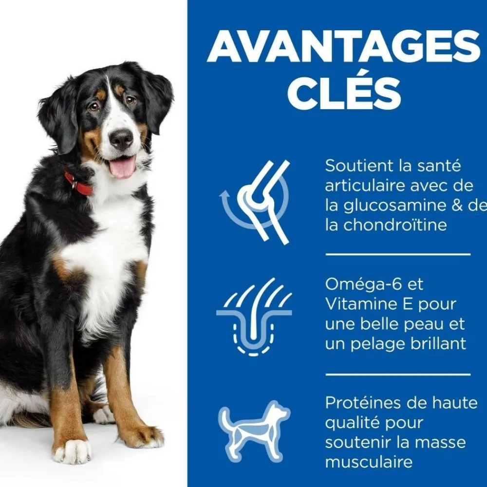 Hill's Alimentation Et Friandises | - Croquettes chien science plan adulte large poulet - 14 kg