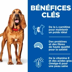 Hill's - Croquettes chien science plan adult mature 7+ light poulet - 14 kg Best