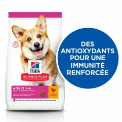 Hill's - Croquettes chien science plan adult small & mini poulet - 6 kg Hot