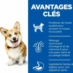 Hill's - Croquettes chien science plan adult small & mini poulet - 6 kg Hot
