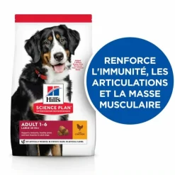 Hill's - Croquettes chien science plan adulte large poulet - 18 kg Sale