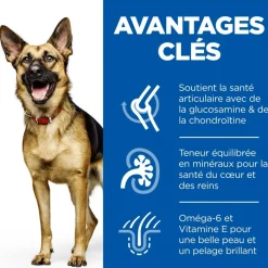Hill's - Croquettes chien sénior de grande taille au poulet - 18 kg Hot