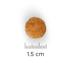Hill's - Croquettes chien sénior de grande taille au poulet - 18 kg Hot