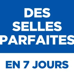 Hill's Alimentation Et Friandises | - Croquettes pour chien Adult Perfect Digestion Small & Mini 1,5kg