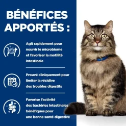 Hill's Alimentation Et Friandises | - Patee chat adult prescription diets gastrointestinal biome (boite) - 24*82 g