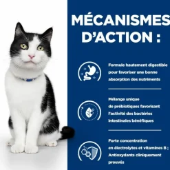 Hill's - Patee chat adult prescription diets i/d digestive (boite) - 24*156 g