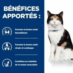 Hill's Alimentation Et Friandises | - Patee chat adult prescription diets y/d thyroid care (boite) - 24*156 g