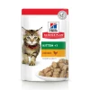 Hill's Alimentation Et Friandises | - Patee chat science plan kitten mixte - 12*85 g