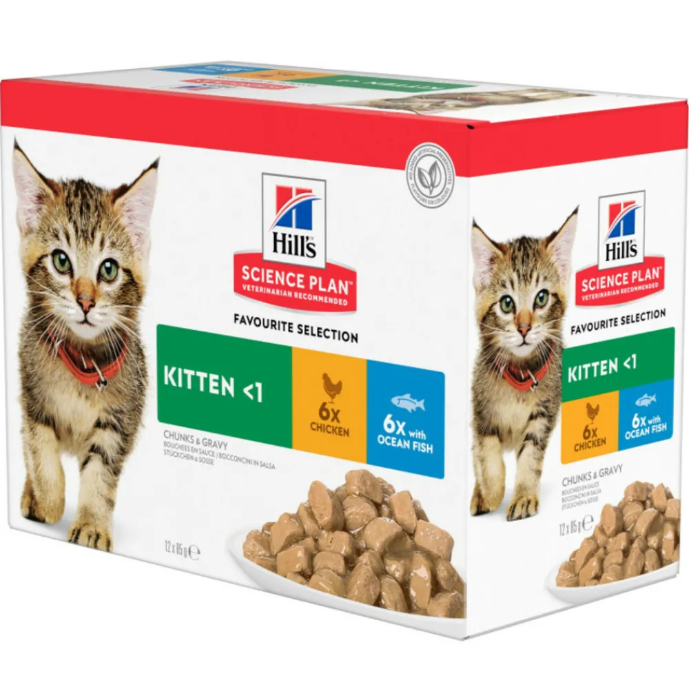 Hill's Alimentation Et Friandises | - Patee chat science plan kitten mixte - 12*85 g