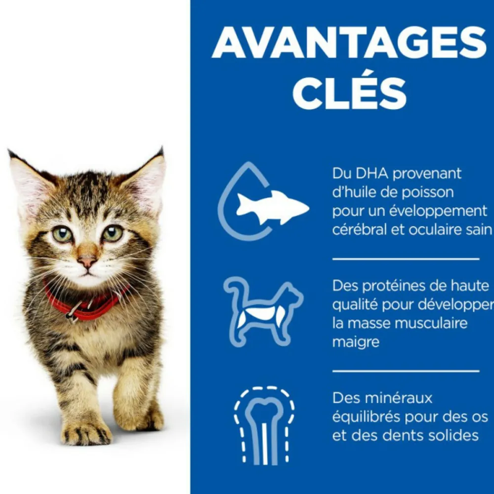 Hill's Alimentation Et Friandises | - Patee chat science plan kitten mixte - 12*85 g